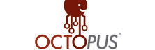 octopus octopus